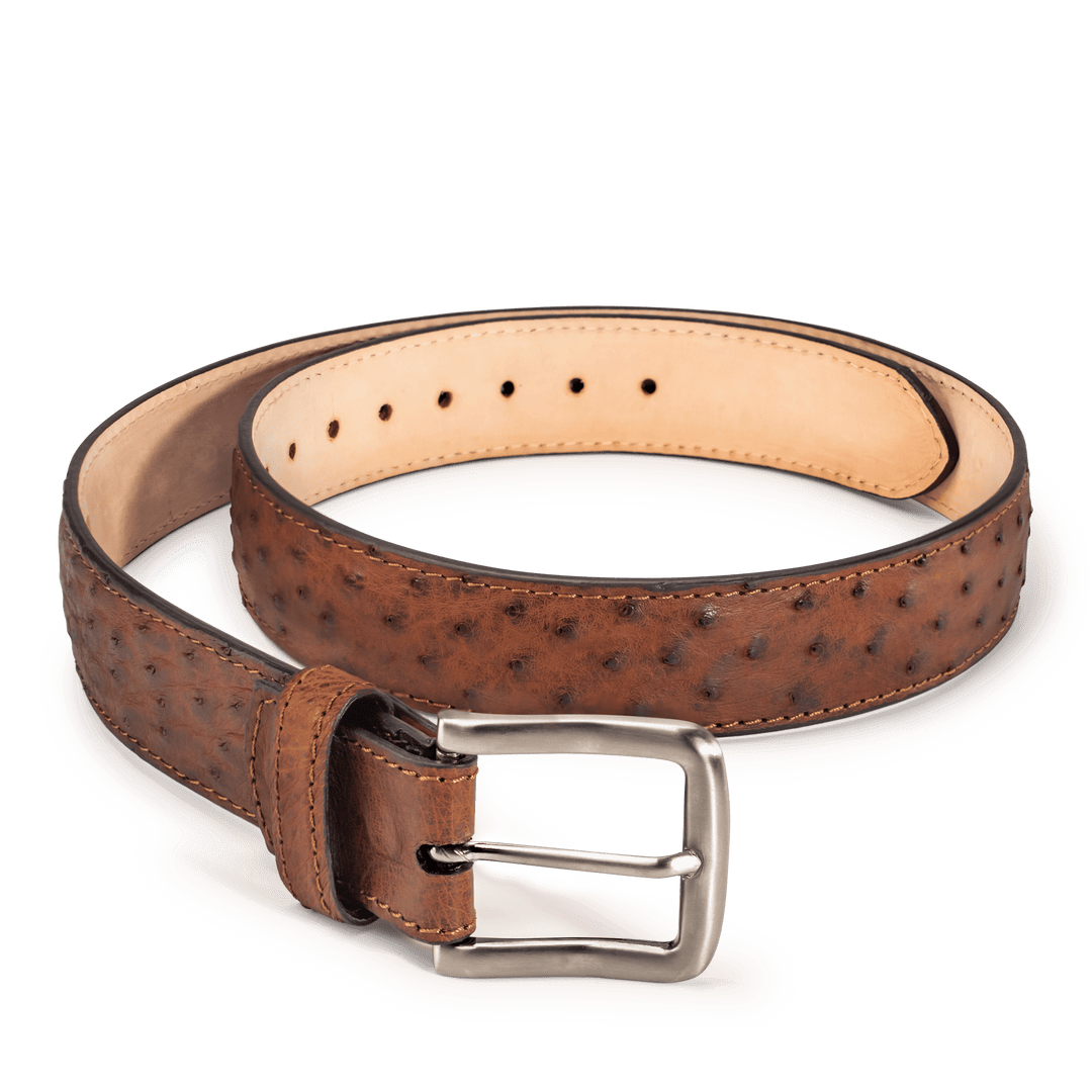 ostrich dress belt Handcrafted Ostrich Belt – Chisos