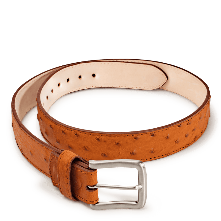 Handcrafted Ostrich Belt – Chisos