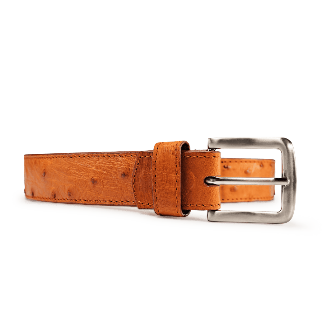 Handcrafted Ostrich Belt – Chisos